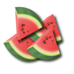 Sliced watermelon 